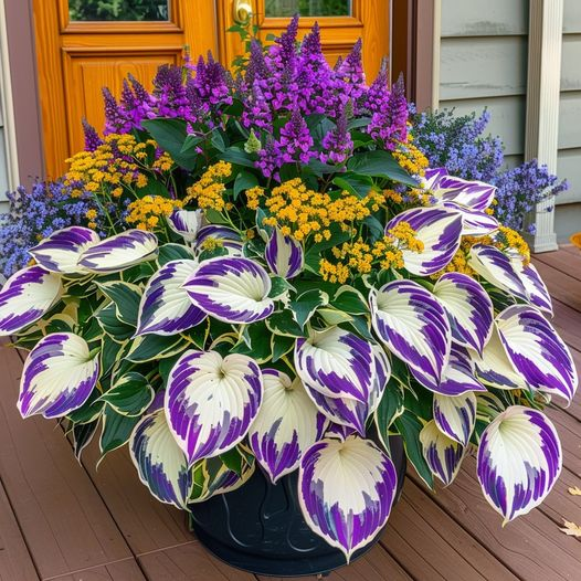 Hardy Beauty: Λουλούδια Hosta που αντέχουν στη σκιά και τον παγετό - LT