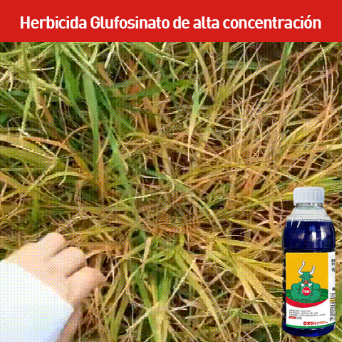 Herbicida glufosinate de alta concentración.