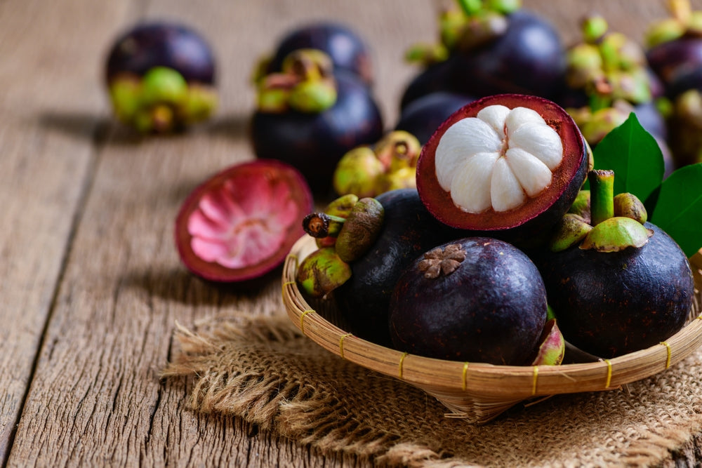 Mangosteen-GR