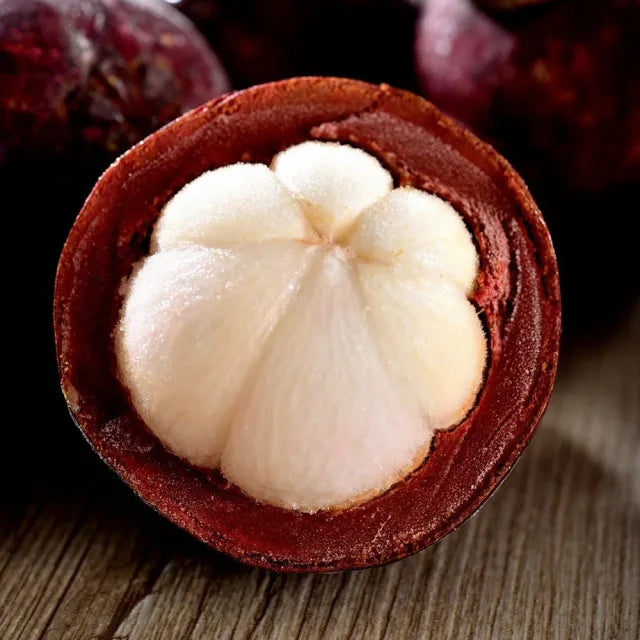 Mangosteen-GR