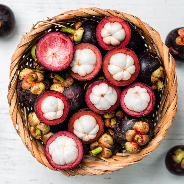 Mangosteen-GR