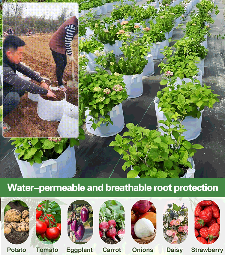 【10 τεμάχια】🌱 Σακούλες καλλιέργειας λαχανικών/λουλουδιών/φυτών 3/4/5/7/10 γαλονιών, ανθεκτικές μη υφασμένες τσάντες καλλιέργειας-LT