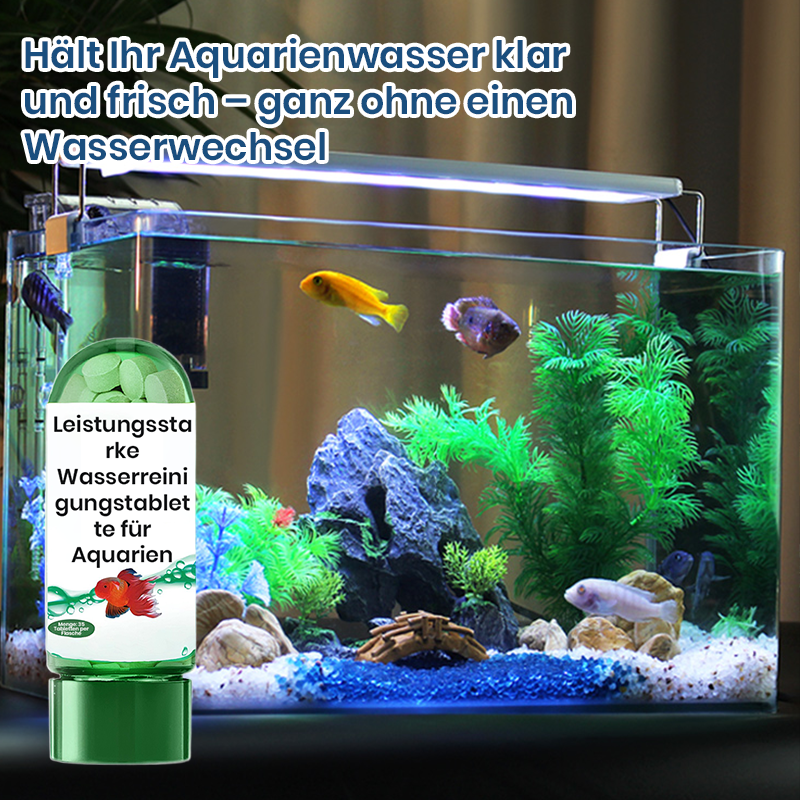 🐠Αποτελεσματικός δίσκος για τον καθαρισμό του νερού του ενυδρείου-GR