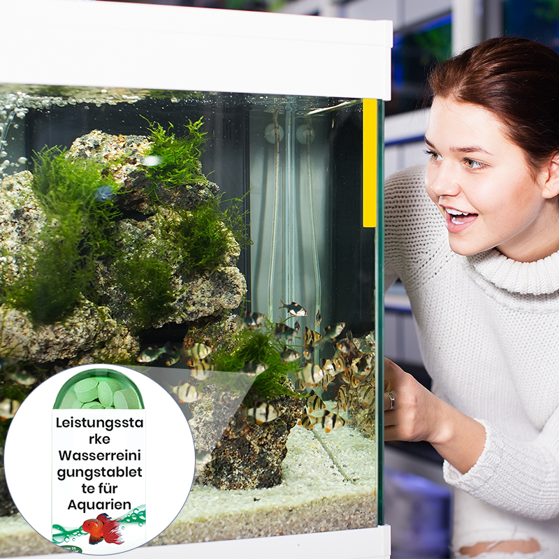 🐠Αποτελεσματικός δίσκος για τον καθαρισμό του νερού του ενυδρείου-GR