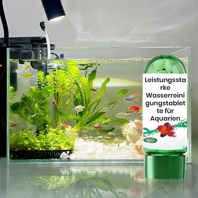 🐠Αποτελεσματικός δίσκος για τον καθαρισμό του νερού του ενυδρείου-GR