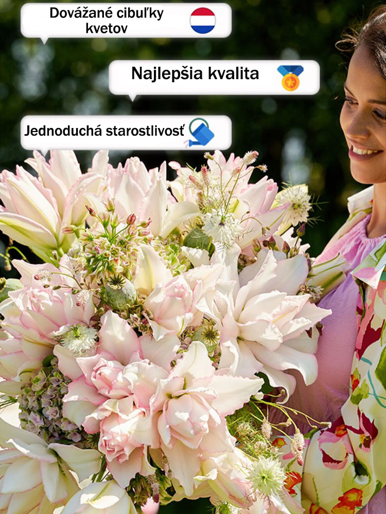 [Voňavejše ako parfum]Cibuľky ľalií Four Seasons voňajú tícice kilometros táro, kvitnú kádje rok-SK 