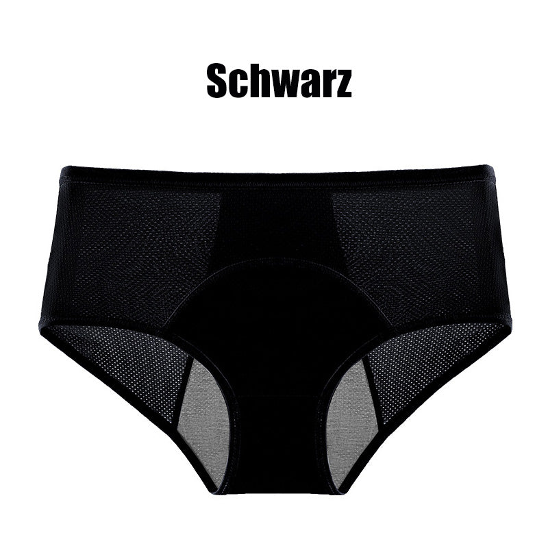 (L-8XL). 