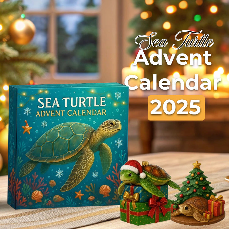 🌊🐢 Adventni koledar morskih želv 2025--LT