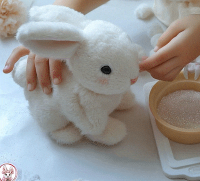 🐇🐇🐇🐇🐇🐇🐇🐇🐇🐇🐇🐇🐇🐇🐇🐇🐇🐇🐇🐇🐇🐇🐰 
