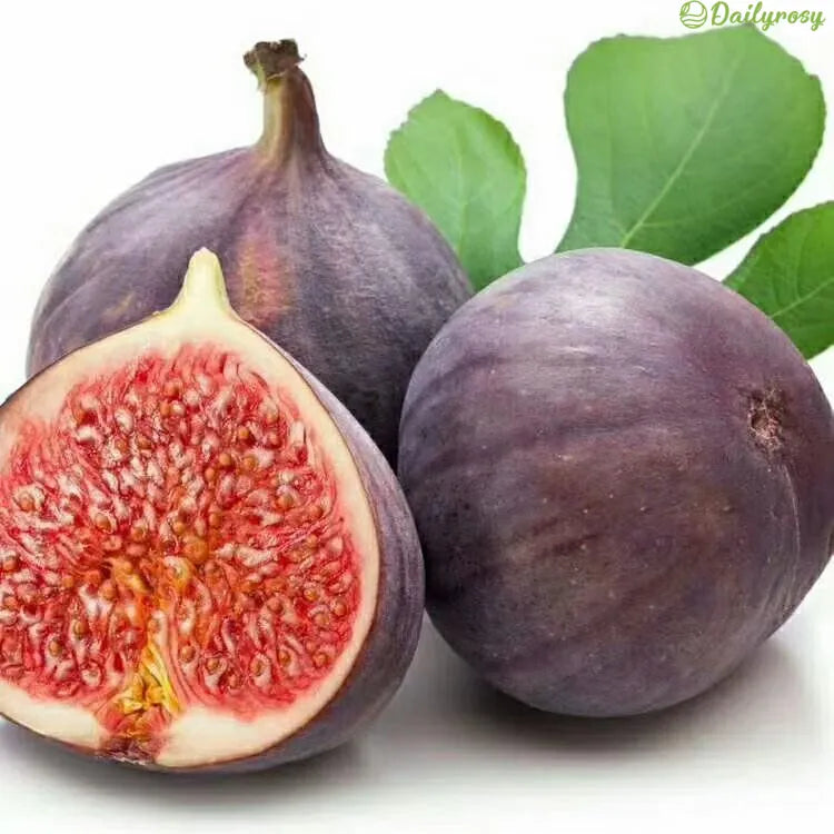 🍑Σπόροι Σύκου Super Giant – Γλυκύτητα Ροδάκινου σε Κατέ Μπουκιά! 🌟-ΓΡ 