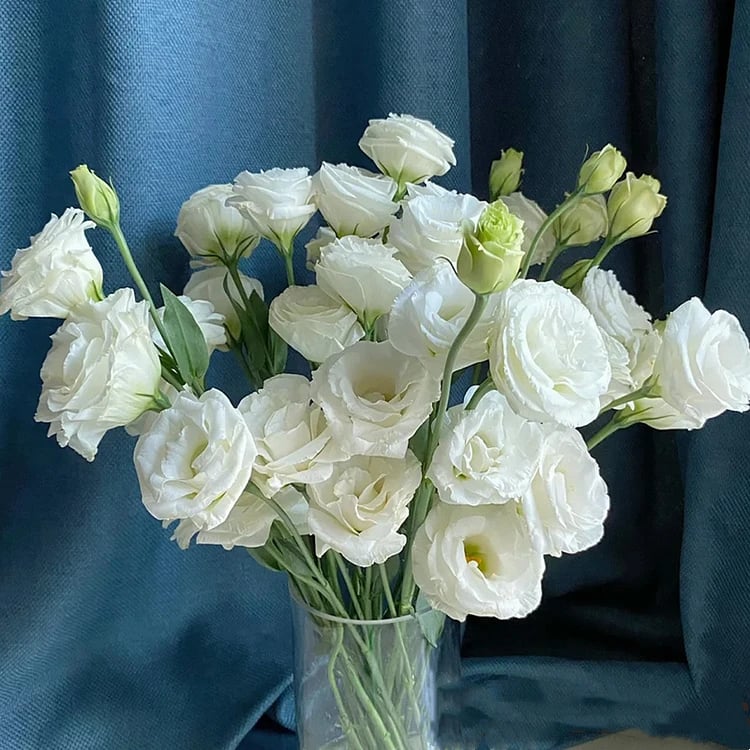 🔥Τελευταία μέρα πώλησης💝Eustoma Thornless Rose💐Σπόροι Lisianthus-GR 