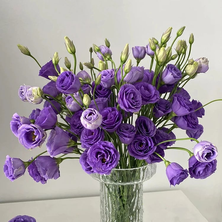 🔥Posledný deň predaja💝Eustoma beztŕňová τριαντάφυλλο💐Semená Lisianthus-SK 