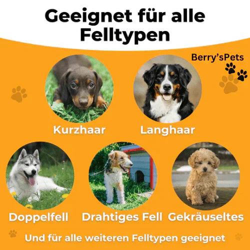 🔥2025 NAUJI IŠPARDAVIMAS - 50% NUOLAIDA🔥Profesionalus augintinių šepetėlis🐶🐱💥-LT