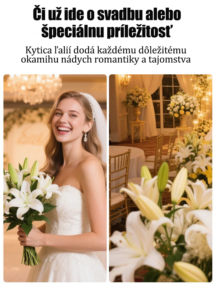 [Voňavejše ako parfum]Cibuľky ľalií Four Seasons voňajú tícice kilometros táro, kvitnú kádje rok-SK 