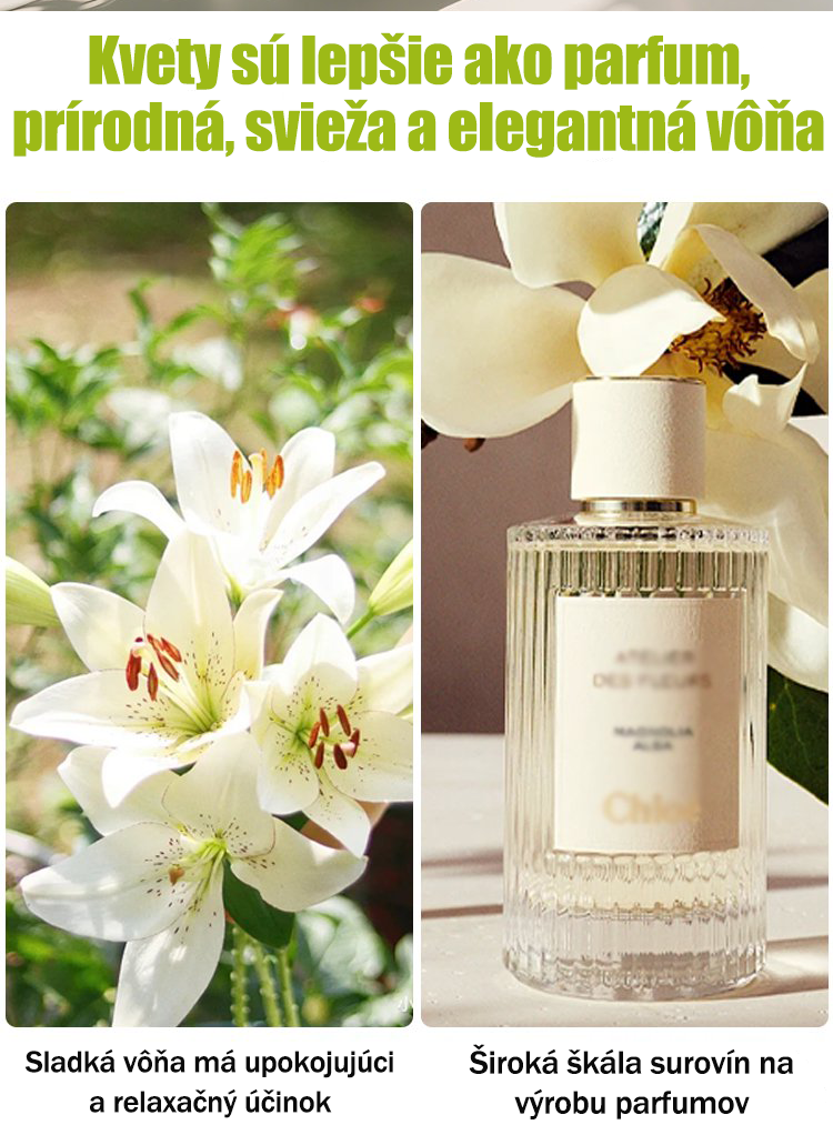 [Voňavejše ako parfum]Cibuľky ľalií Four Seasons voňajú tícice kilometros táro, kvitnú kádje rok-SK 