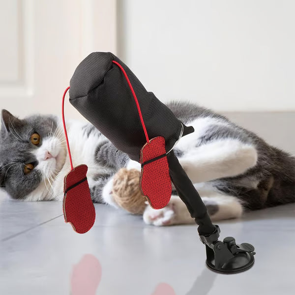 Interaktyvus traukinio formos katės žaislas-LT