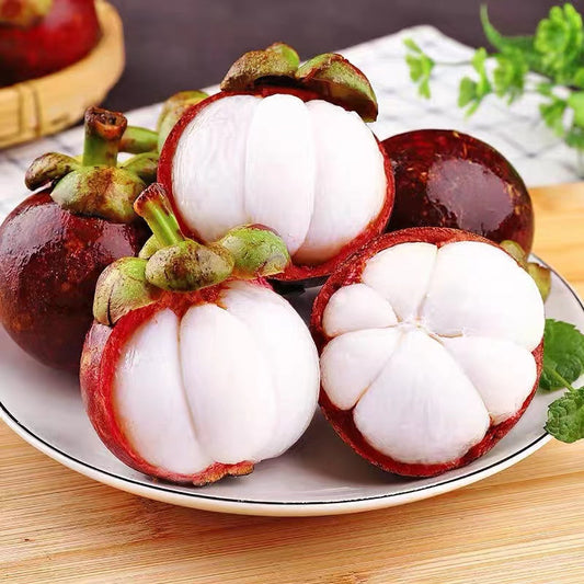 Mangosteen-GR 