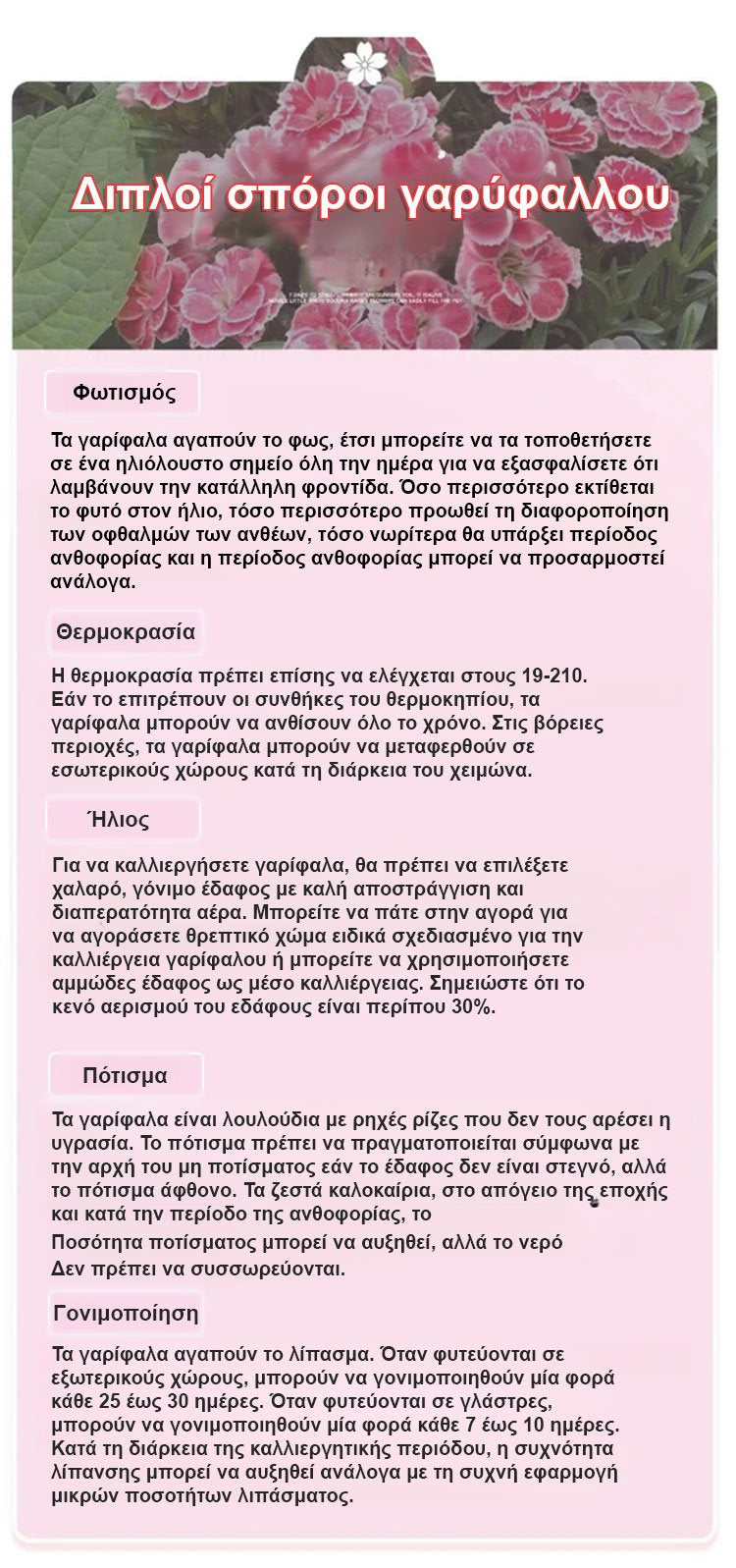 【Τέσσερις εποχει ανθίσεν】Σπόροι γαρίφαλου διπλού άνθους-GR 