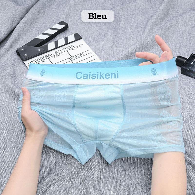 🎁Compre 1 y obtenga 2 gratis🎁 Calzoncillos tipo boxer refrescentes y transpirables para hombre concintura elástica-ES