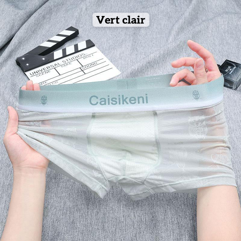 🎁Compre 1 y obtenga 2 gratis🎁 Calzoncillos tipo boxer refrescentes y transpirables para hombre concintura elástica-ES